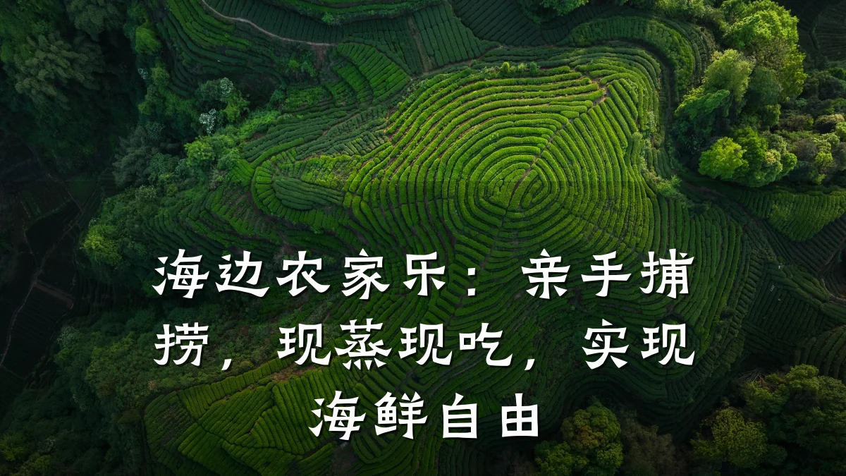 海边农家乐:亲手捕捞,现蒸现吃,实现海鲜自由