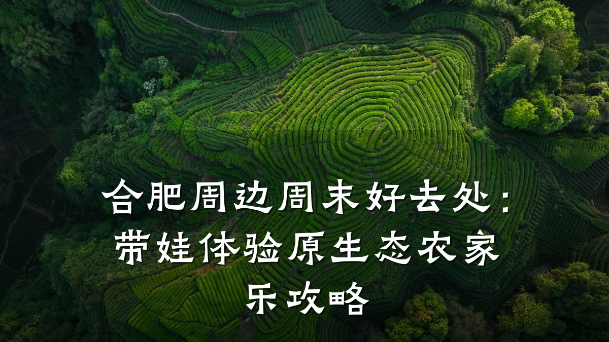 合肥周边周末好去处:带娃体验原生态农家乐攻略