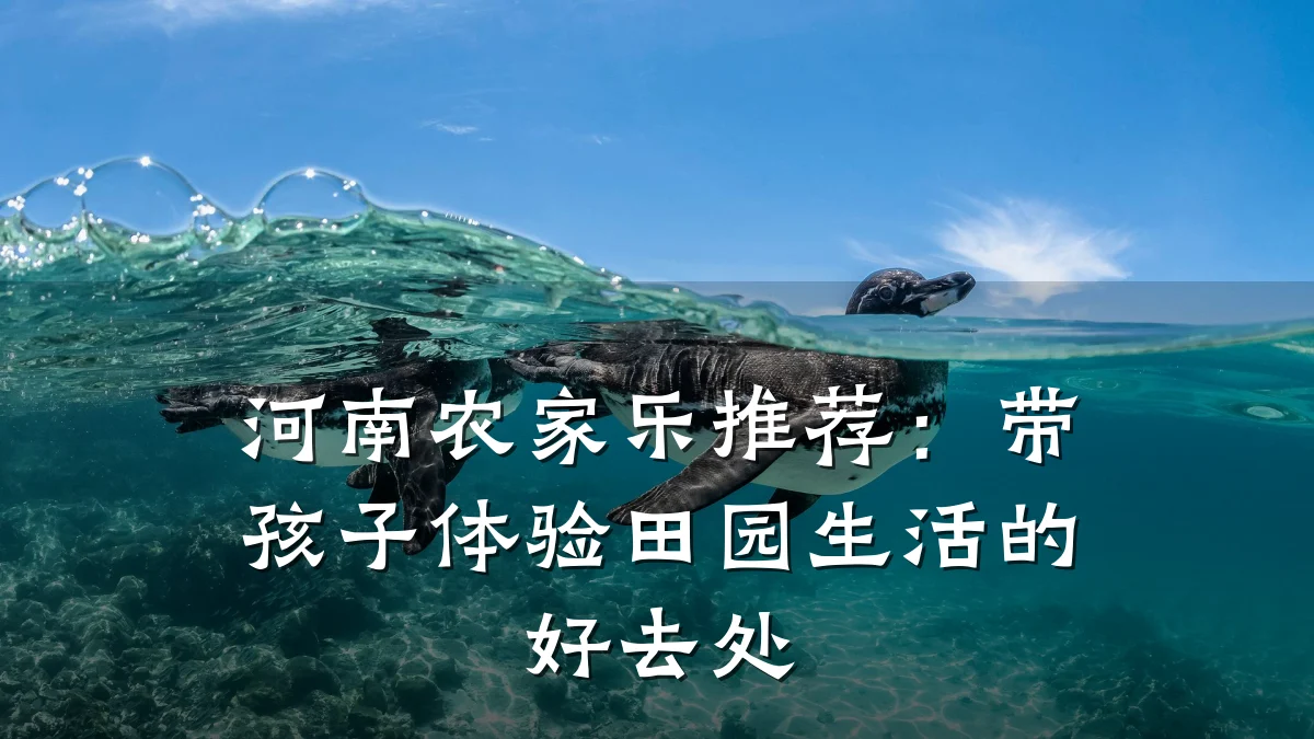 河南农家乐推荐:带孩子体验田园生活的好去处