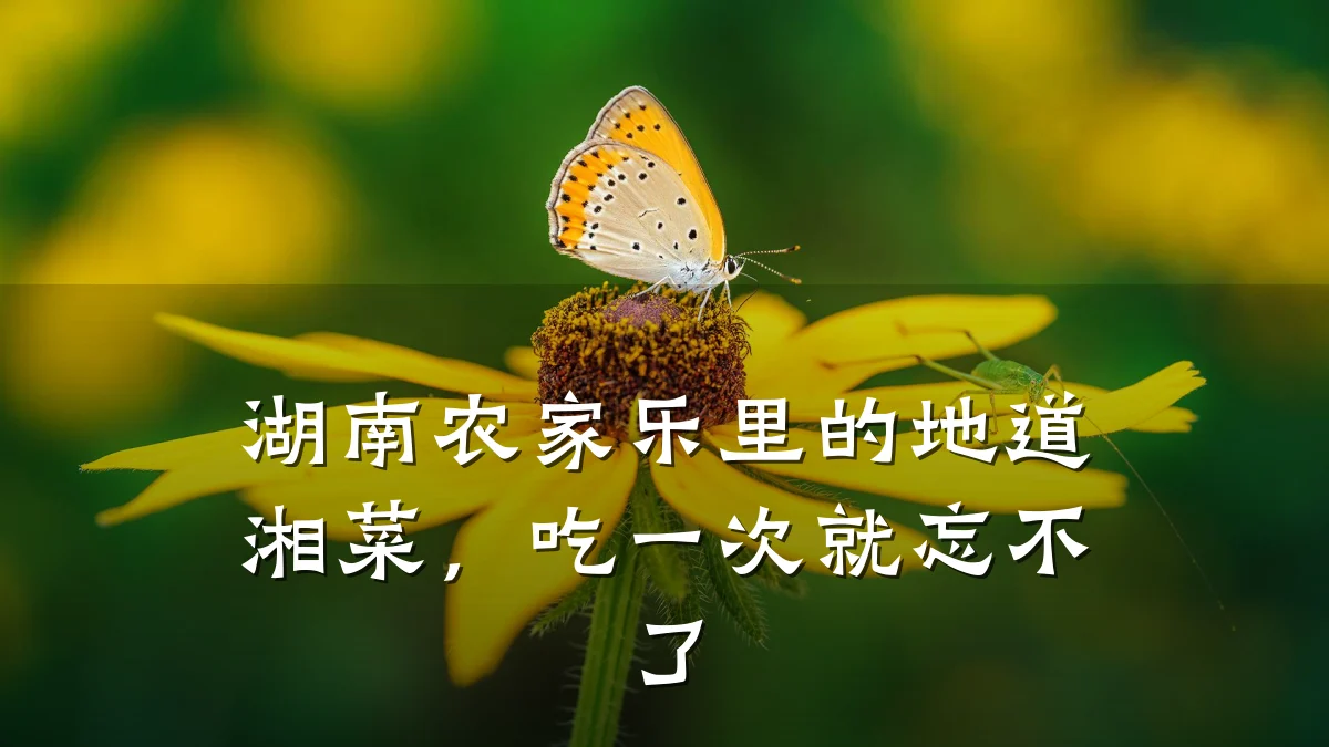 湖南农家乐里的地道湘菜,吃一次就忘不了