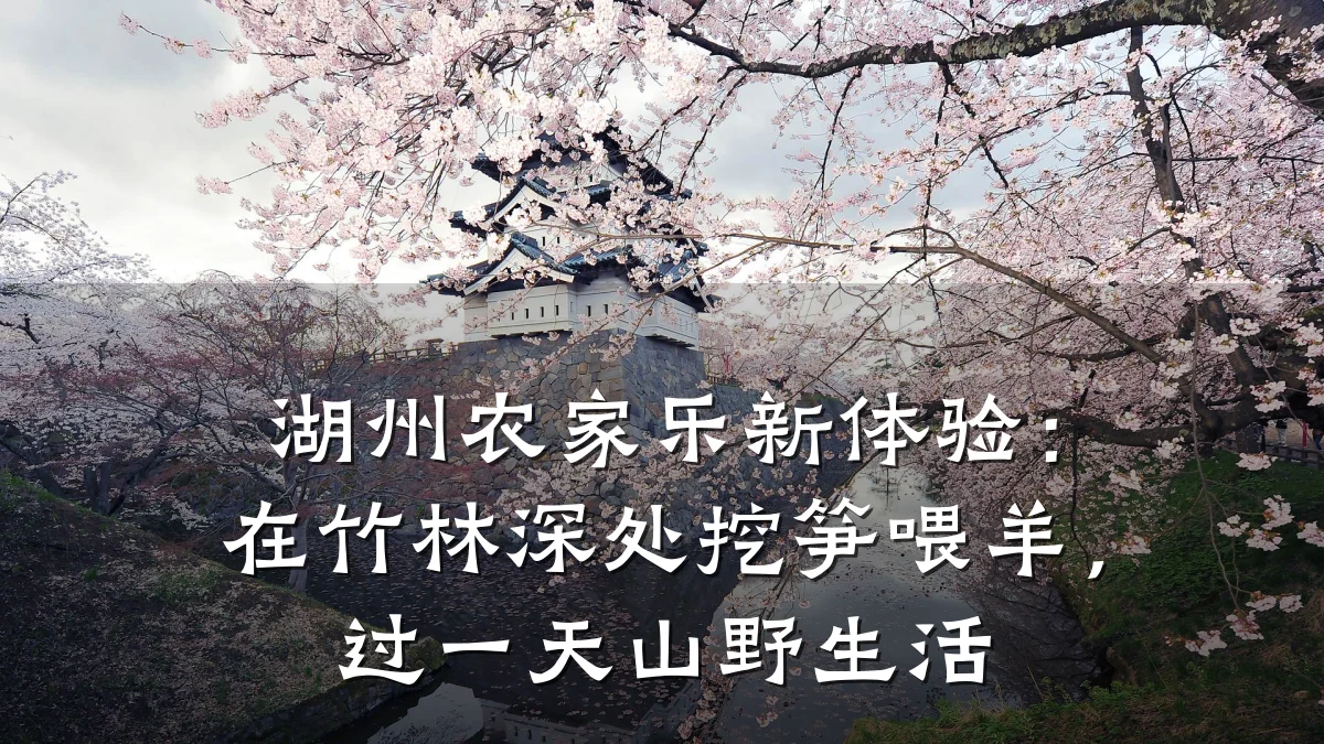 湖州农家乐新体验:在竹林深处挖笋喂羊,过一天山野生活