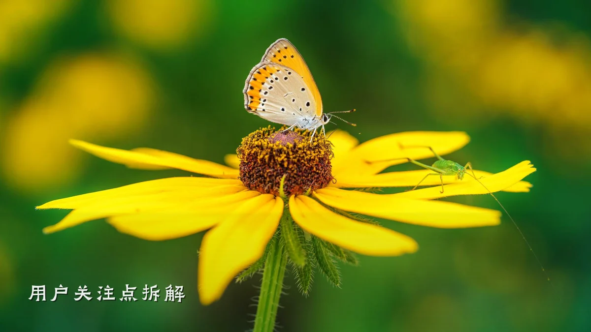 用户关注点拆解
