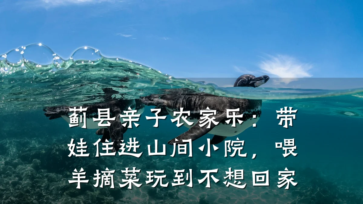 蓟县亲子农家乐:带娃住进山间小院,喂羊摘菜玩到不想回家