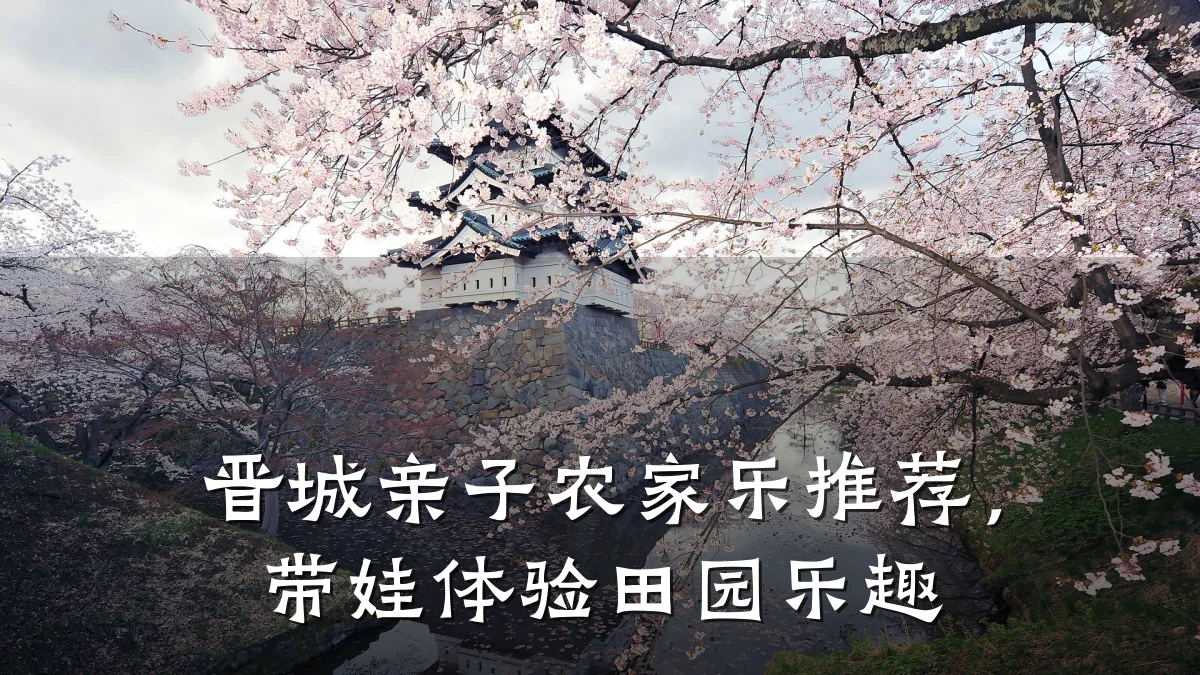 晋城亲子农家乐推荐,带娃体验田园乐趣