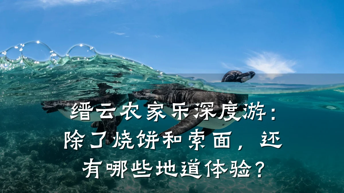 缙云农家乐深度游:除了烧饼和索面,还有哪些地道体验?