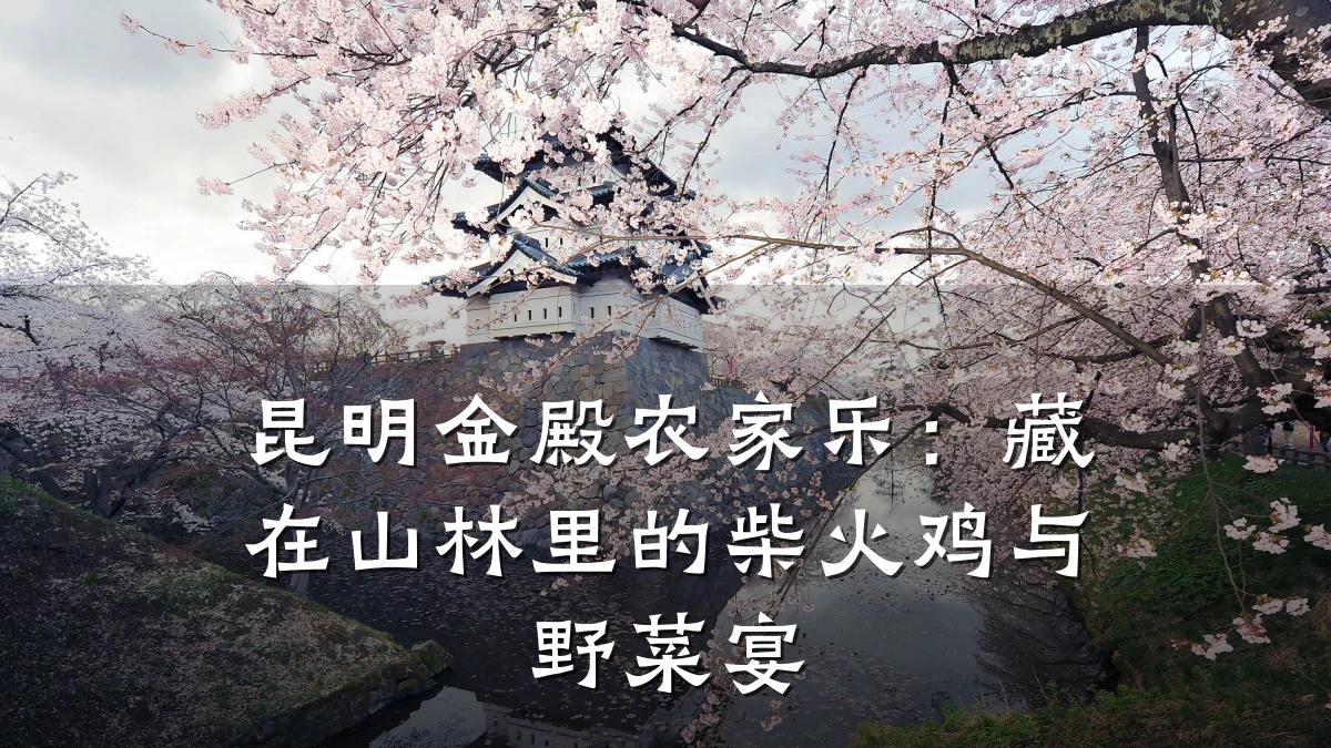 昆明金殿农家乐:藏在山林里的柴火鸡与野菜宴