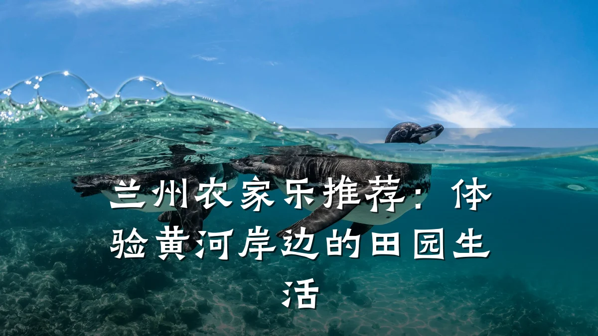 兰州农家乐推荐:体验黄河岸边的田园生活
