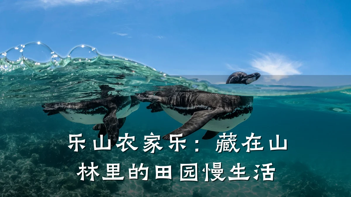 乐山农家乐:藏在山林里的田园慢生活