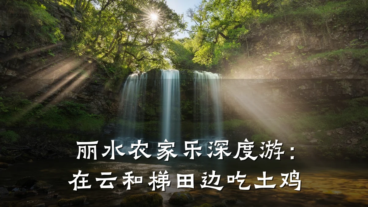 丽水农家乐深度游:在云和梯田边吃土鸡