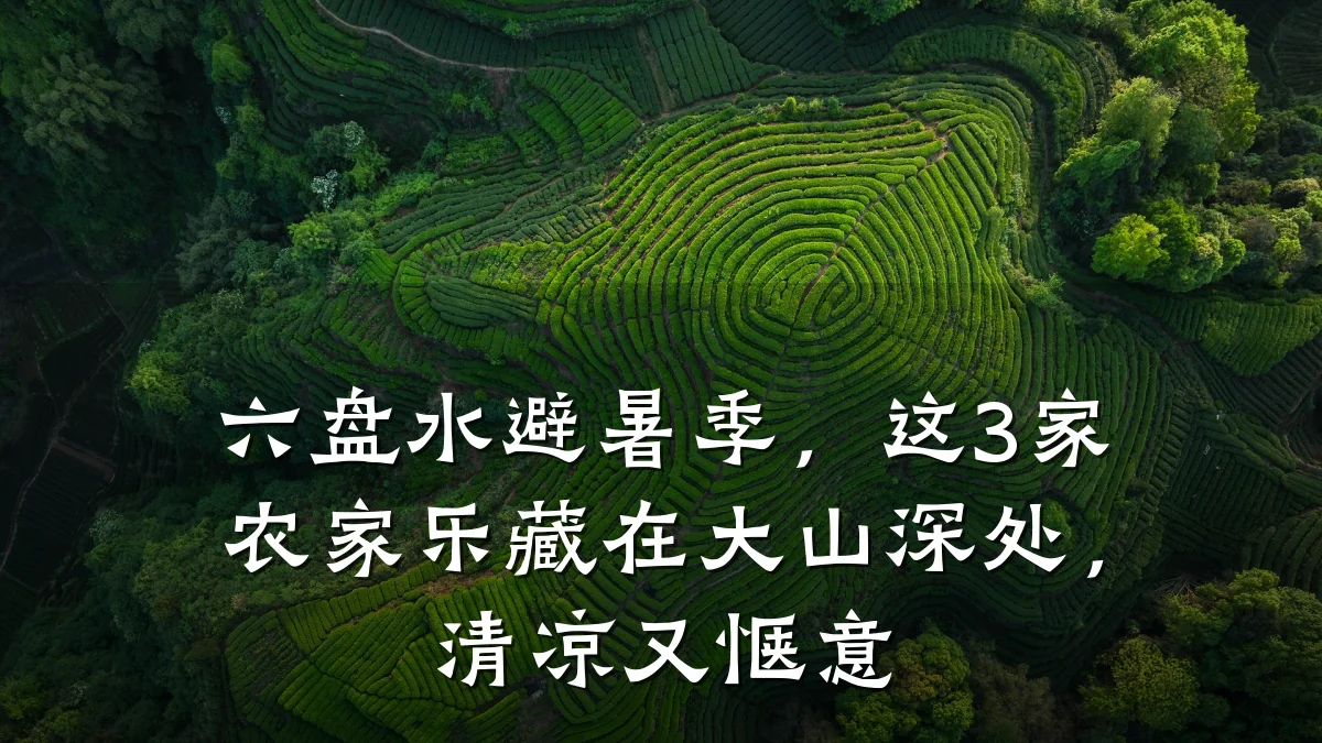 六盘水避暑季,这3家农家乐藏在大山深处,清凉又惬意