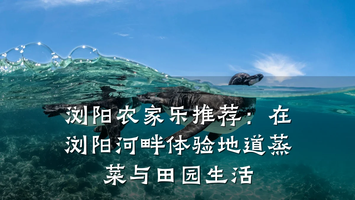 浏阳农家乐推荐:在浏阳河畔体验地道蒸菜与田园生活