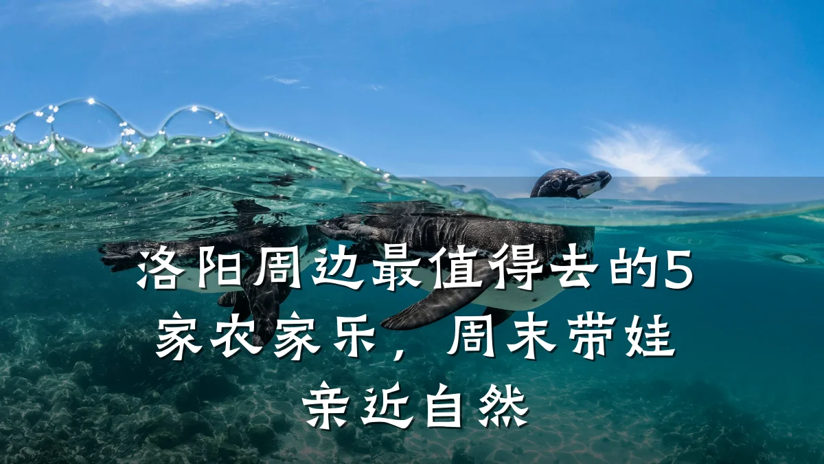 洛阳周边最值得去的5家农家乐,周末带娃亲近自然