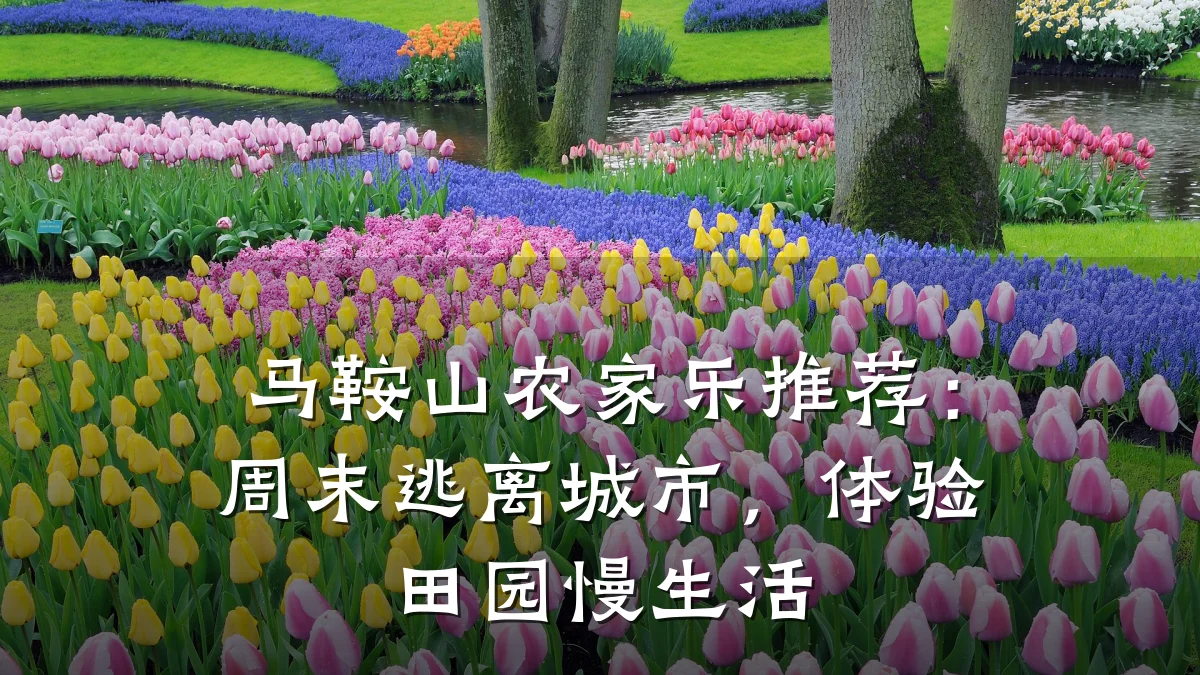马鞍山农家乐推荐：周末逃离城市，体验田园慢生活