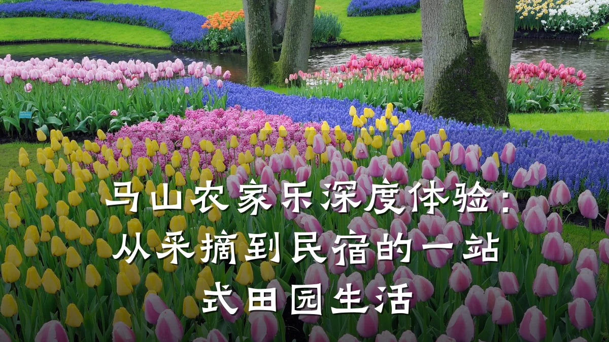 马山农家乐深度体验：从采摘到民宿的一站式田园生活
