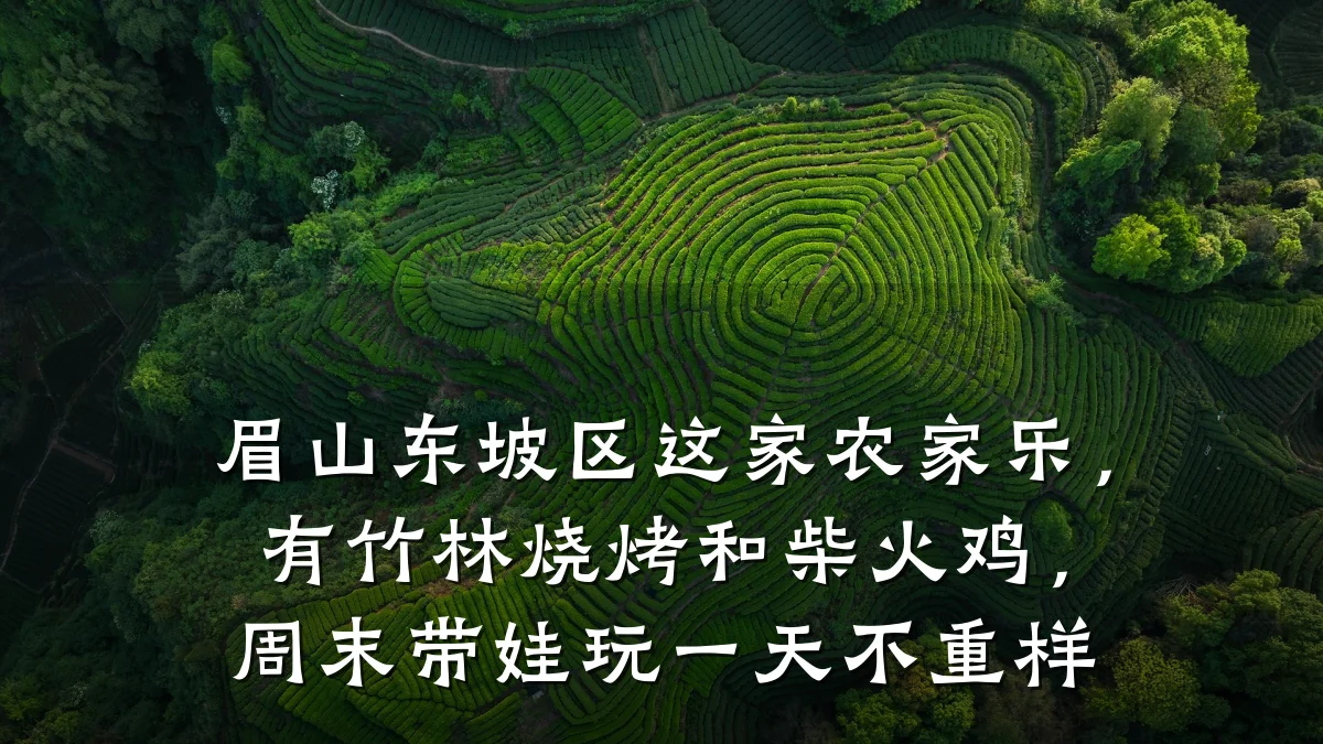 眉山东坡区这家农家乐,有竹林烧烤和柴火鸡,周末带娃玩一天不重样