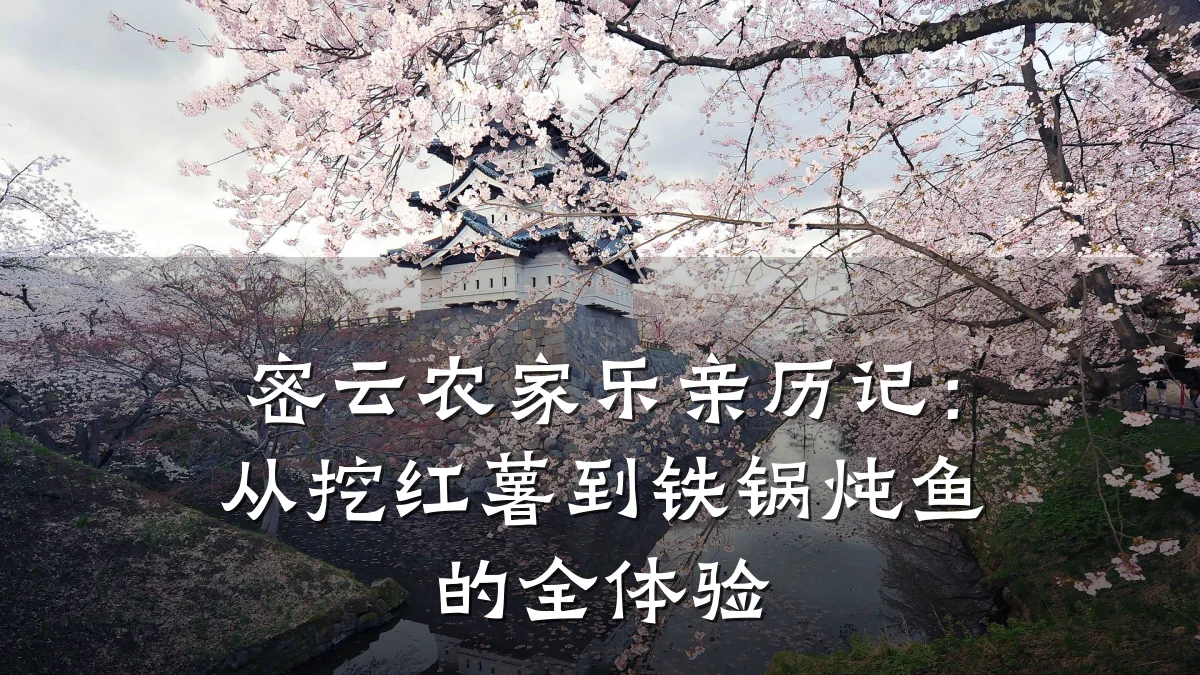 密云农家乐亲历记:从挖红薯到铁锅炖鱼的全体验