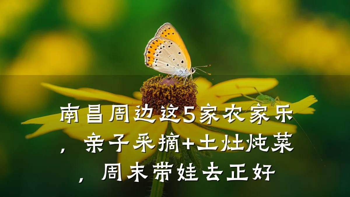 南昌周边这5家农家乐,亲子采摘+土灶炖菜,周末带娃去正好