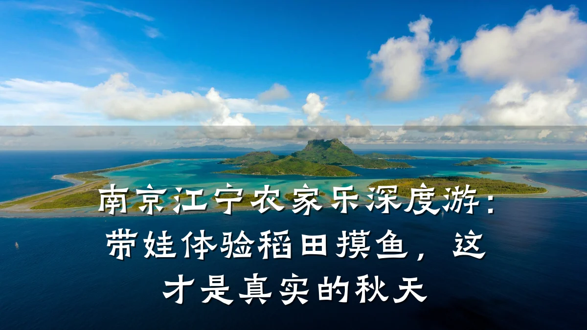 南京江宁农家乐深度游:带娃体验稻田摸鱼,这才是真实的秋天