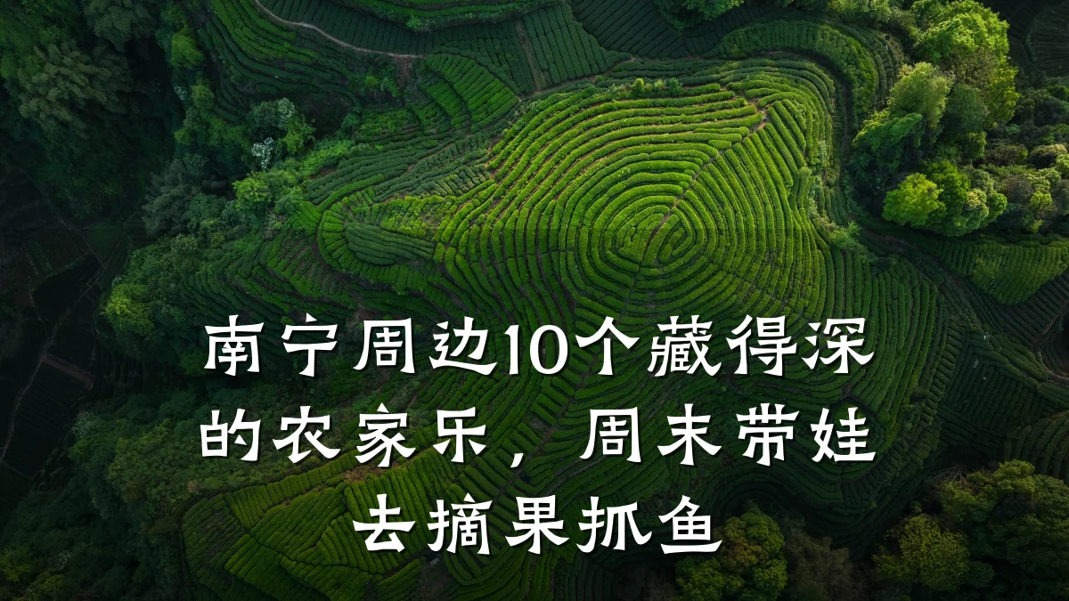 南宁周边10个藏得深的农家乐,周末带娃去摘果抓鱼