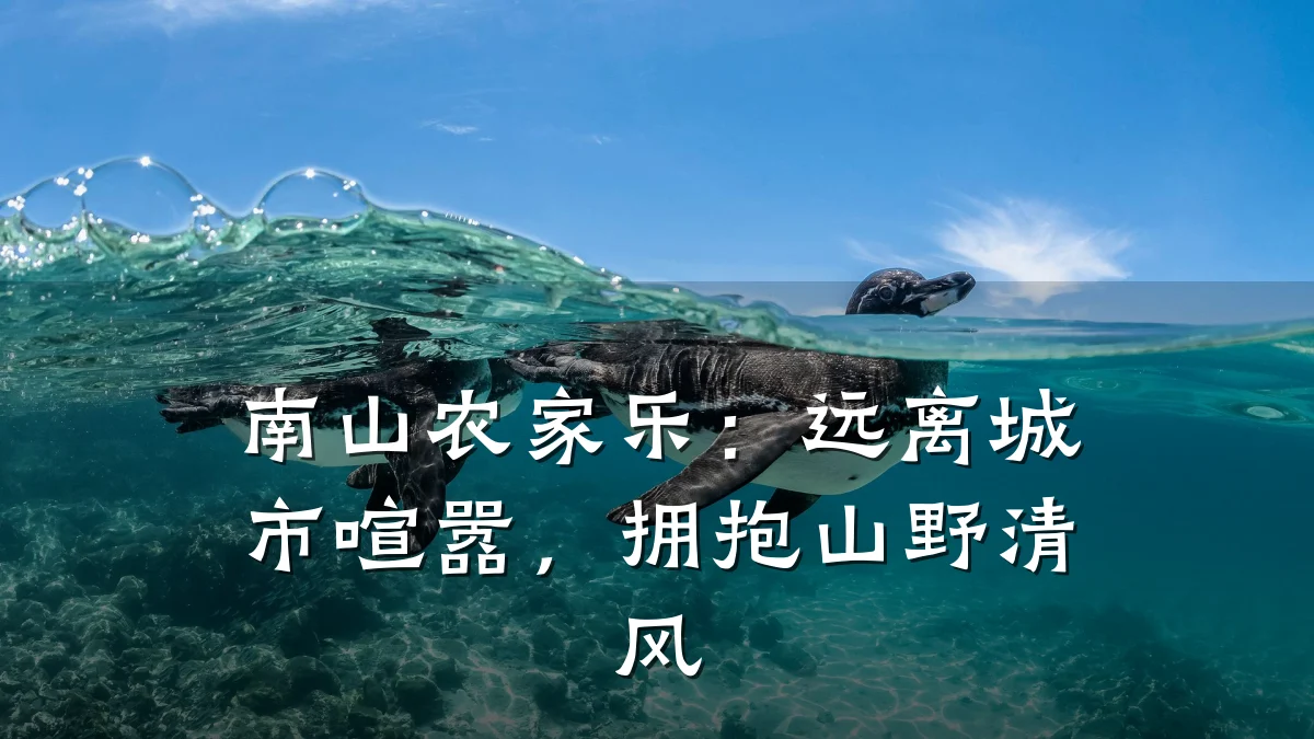 南山农家乐:远离城市喧嚣,拥抱山野清风