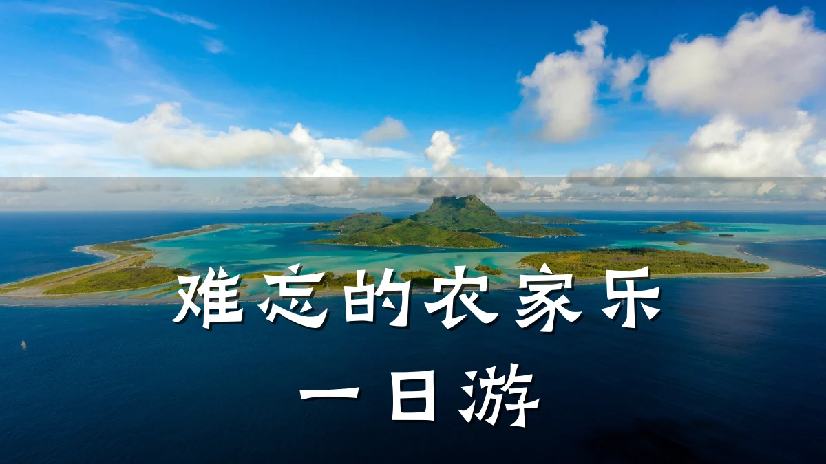 难忘的农家乐一日游