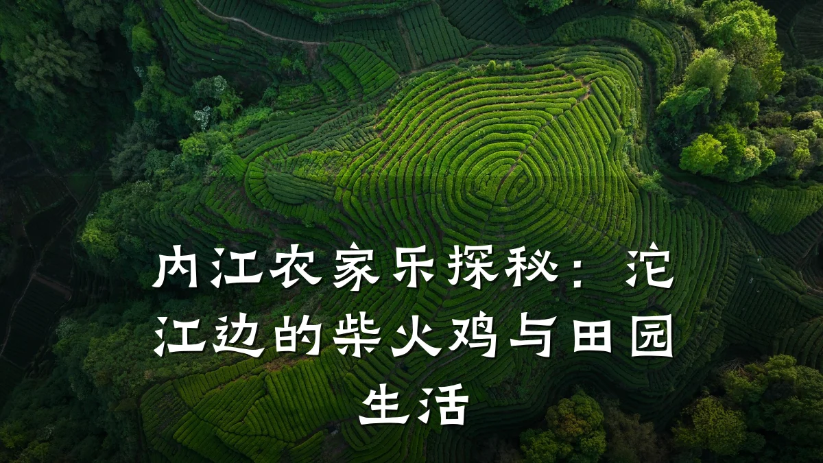 内江农家乐探秘：沱江边的柴火鸡与田园生活