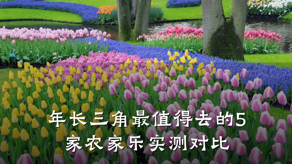 年长三角最值得去的5家农家乐实测对比