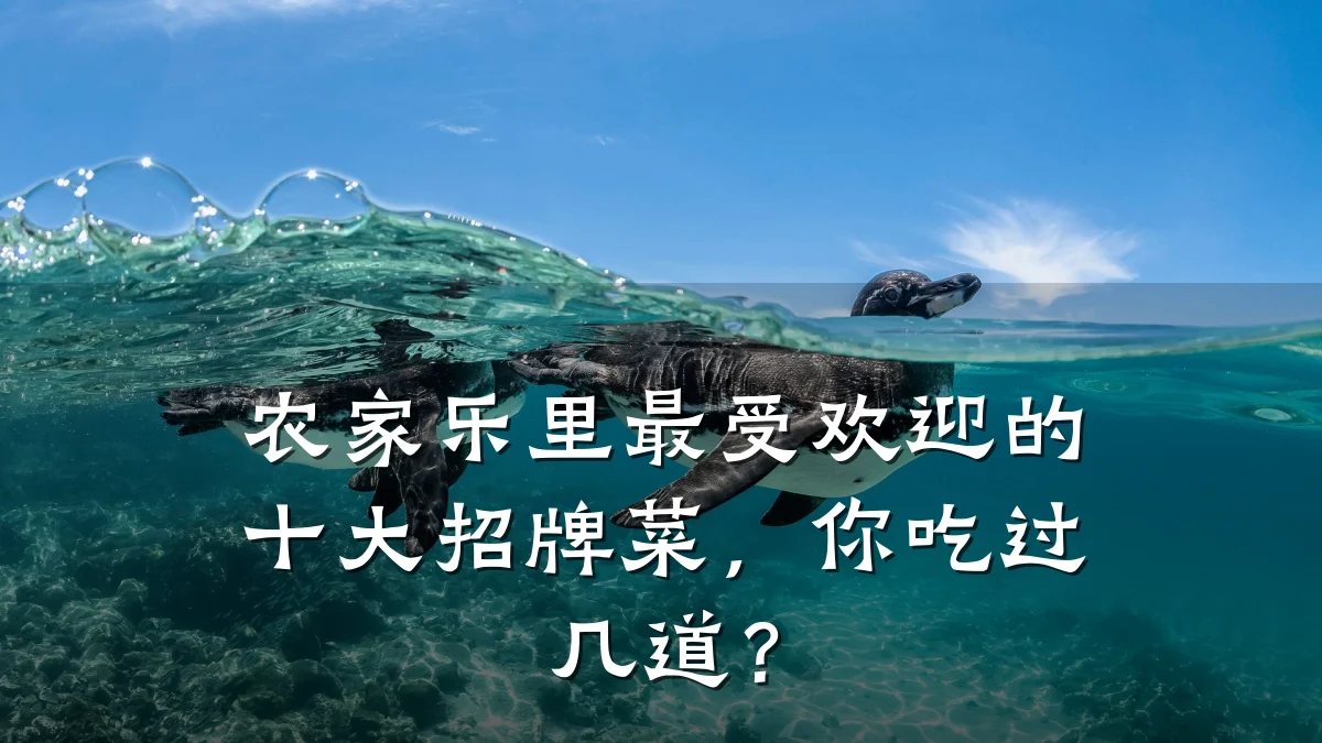 农家乐里最受欢迎的十大招牌菜,你吃过几道?