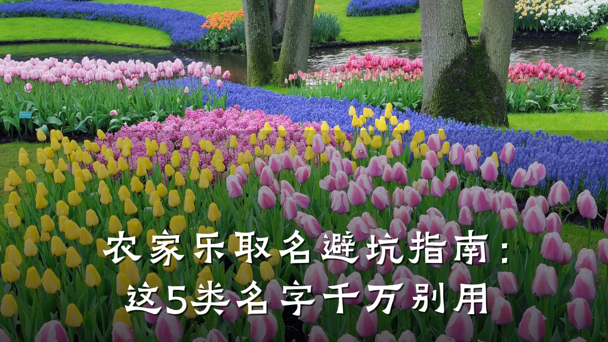 农家乐取名避坑指南:这5类名字千万别用