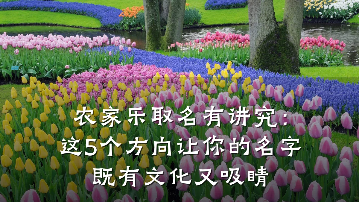 农家乐取名有讲究:这5个方向让你的名字既有文化又吸睛