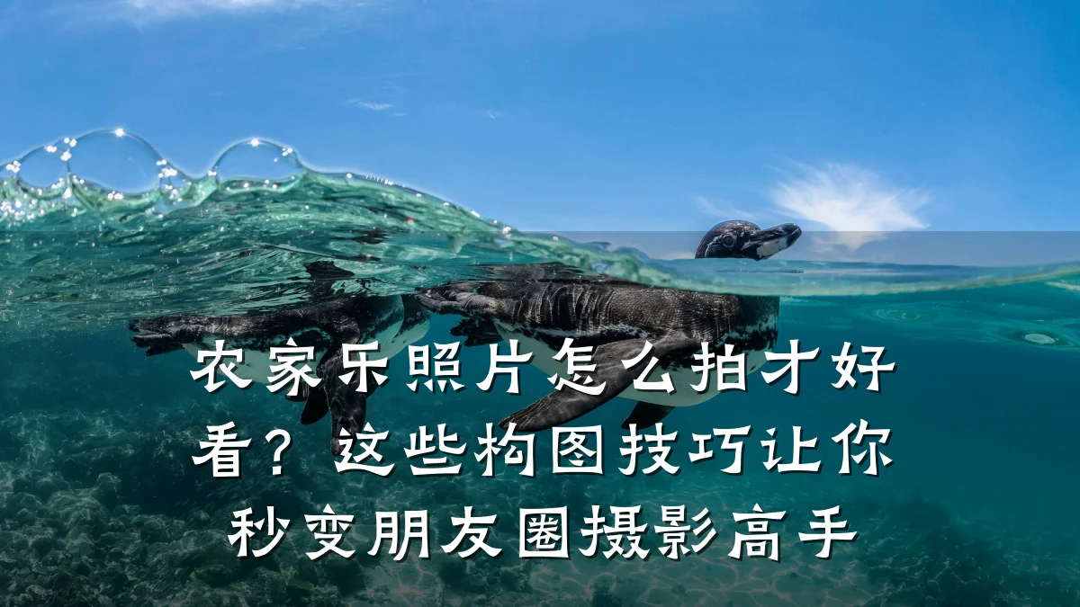 农家乐照片怎么拍才好看？这些构图技巧让你秒变朋友圈摄影高手