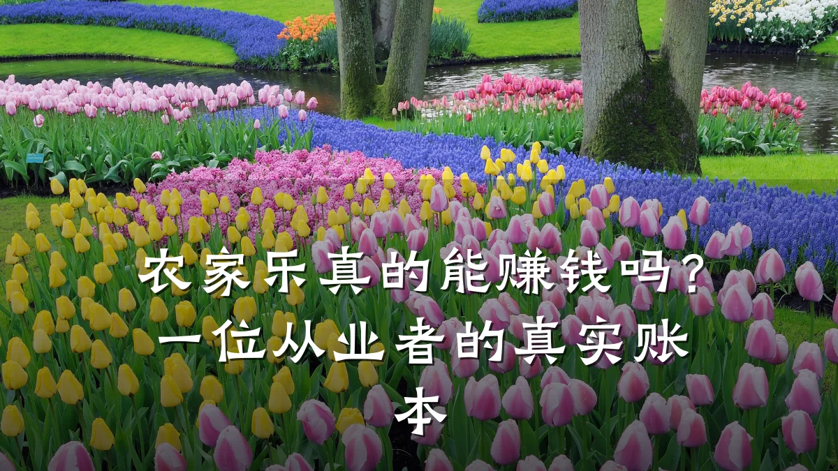 农家乐真的能赚钱吗?一位从业者的真实账本