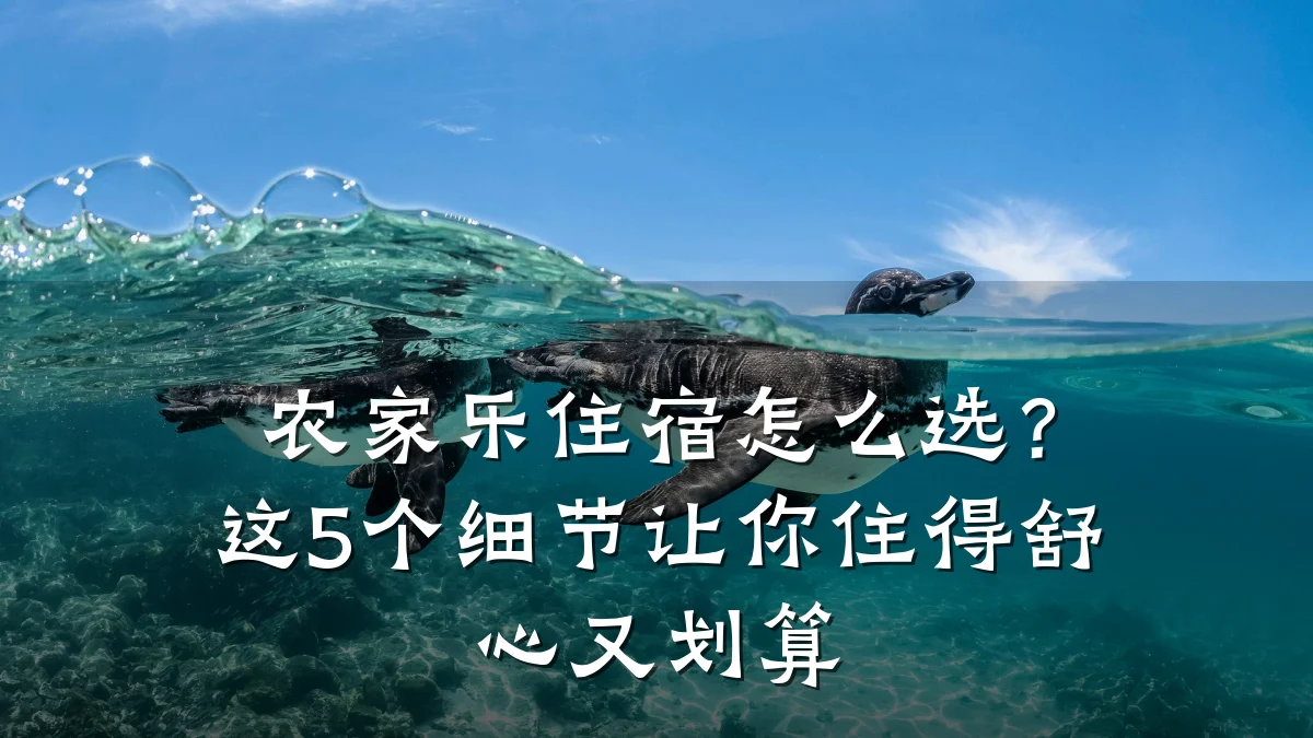 农家乐住宿怎么选?这5个细节让你住得舒心又划算