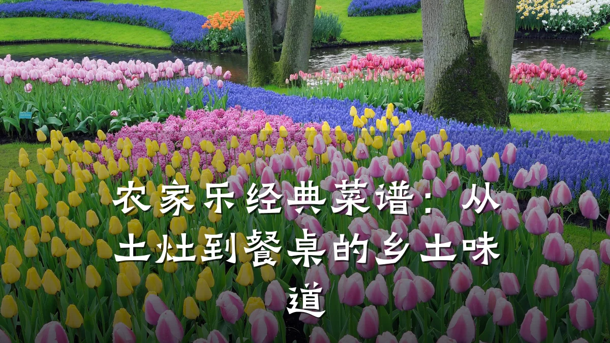 农家乐经典菜谱:从土灶到餐桌的乡土味道