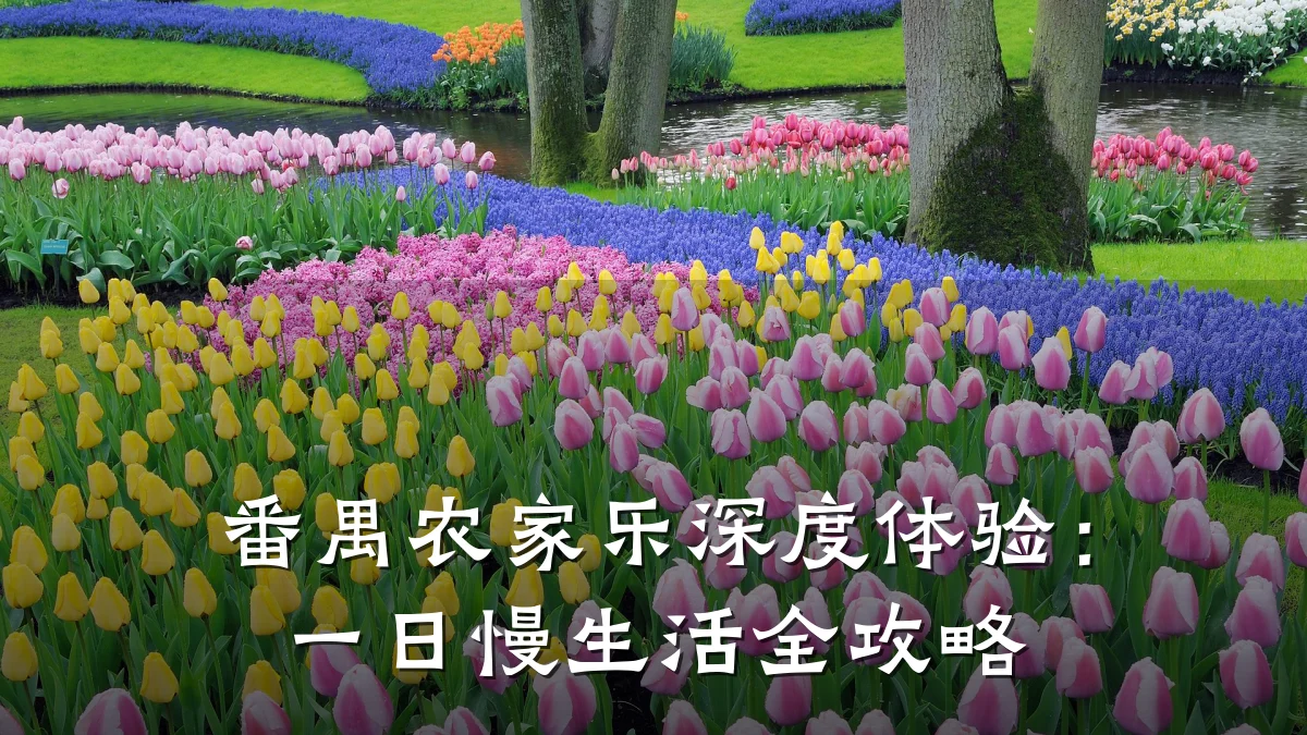 番禺农家乐深度体验:一日慢生活全攻略