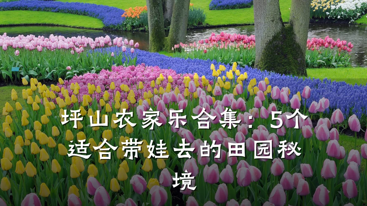 坪山农家乐合集:5个适合带娃去的田园秘境