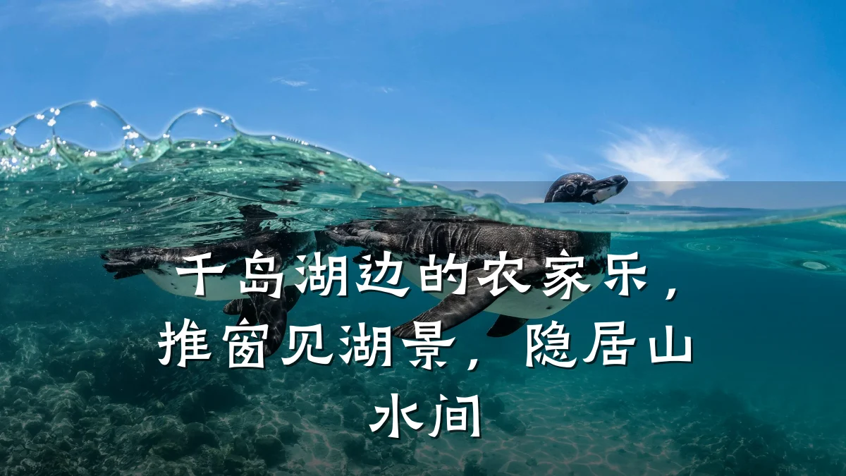 千岛湖边的农家乐,推窗见湖景,隐居山水间