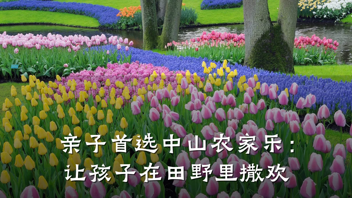 亲子首选中山农家乐：让孩子在田野里撒欢