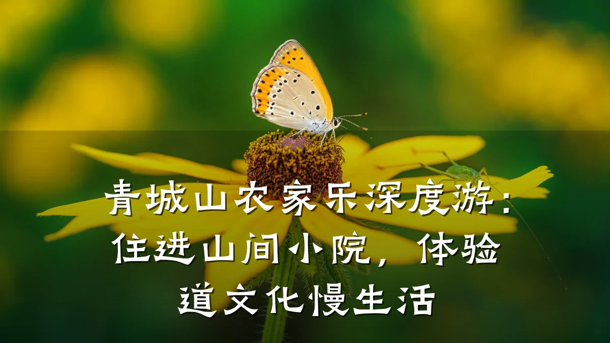 青城山农家乐深度游：住进山间小院，体验道文化慢生活