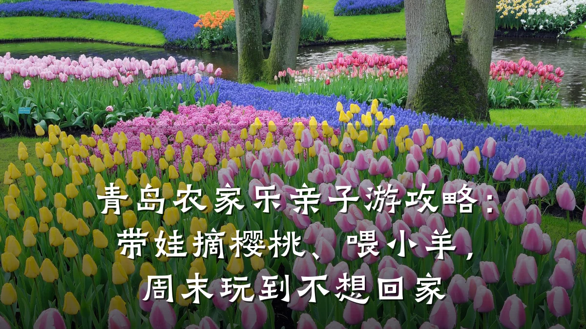 青岛农家乐亲子游攻略:带娃摘樱桃、喂小羊,周末玩到不想回家