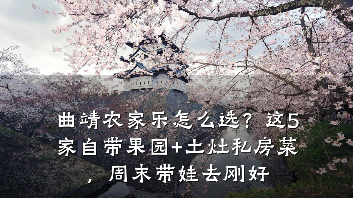 曲靖农家乐怎么选?这5家自带果园+土灶私房菜,周末带娃去刚好
