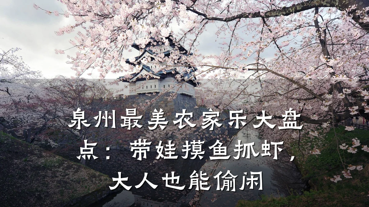 泉州最美农家乐大盘点:带娃摸鱼抓虾,大人也能偷闲