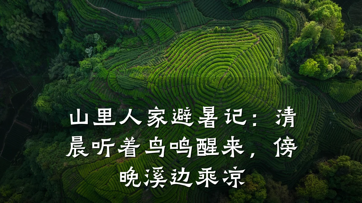 山里人家避暑记:清晨听着鸟鸣醒来,傍晚溪边乘凉