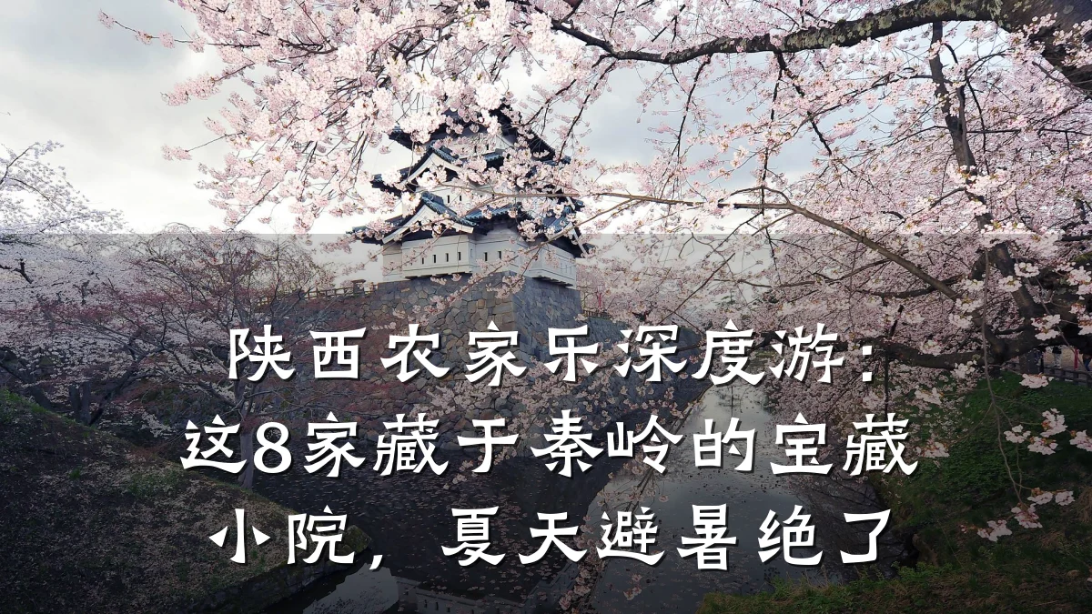 陕西农家乐深度游:这8家藏于秦岭的宝藏小院,夏天避暑绝了