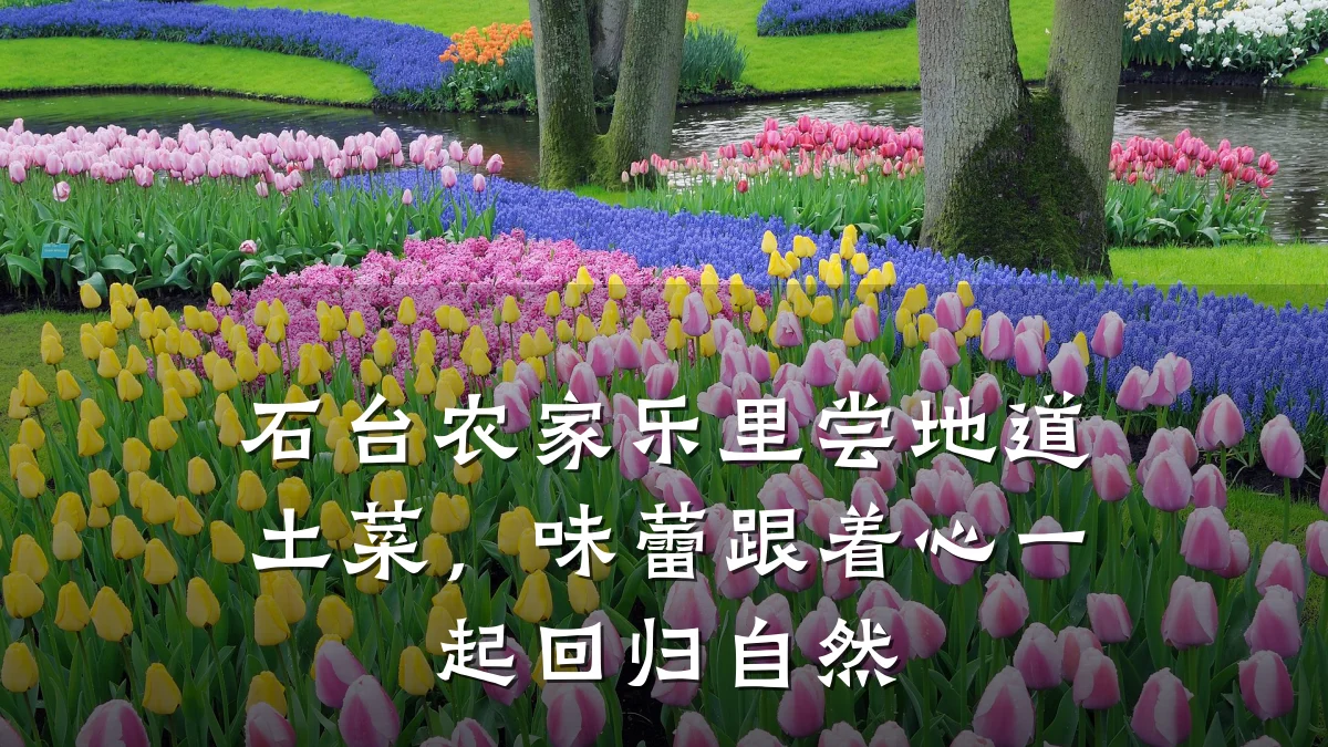 石台农家乐里尝地道土菜,味蕾跟着心一起回归自然