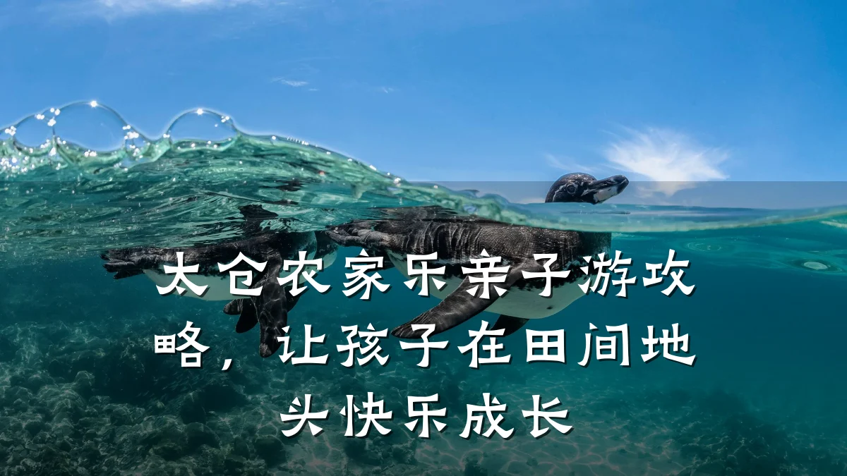 太仓农家乐亲子游攻略，让孩子在田间地头快乐成长