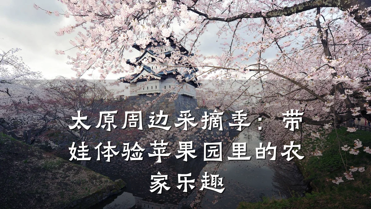 太原周边采摘季:带娃体验苹果园里的农家乐趣