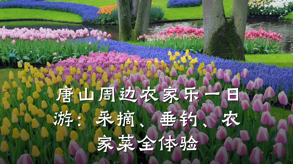 唐山周边农家乐一日游:采摘、垂钓、农家菜全体验