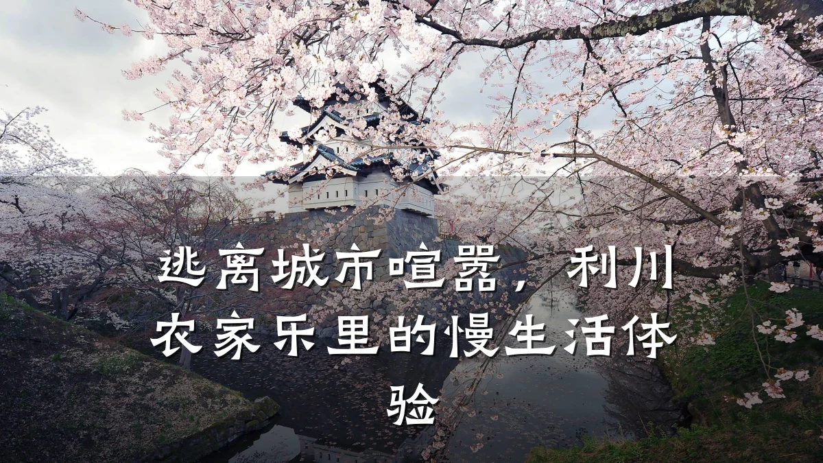 逃离城市喧嚣,利川农家乐里的慢生活体验