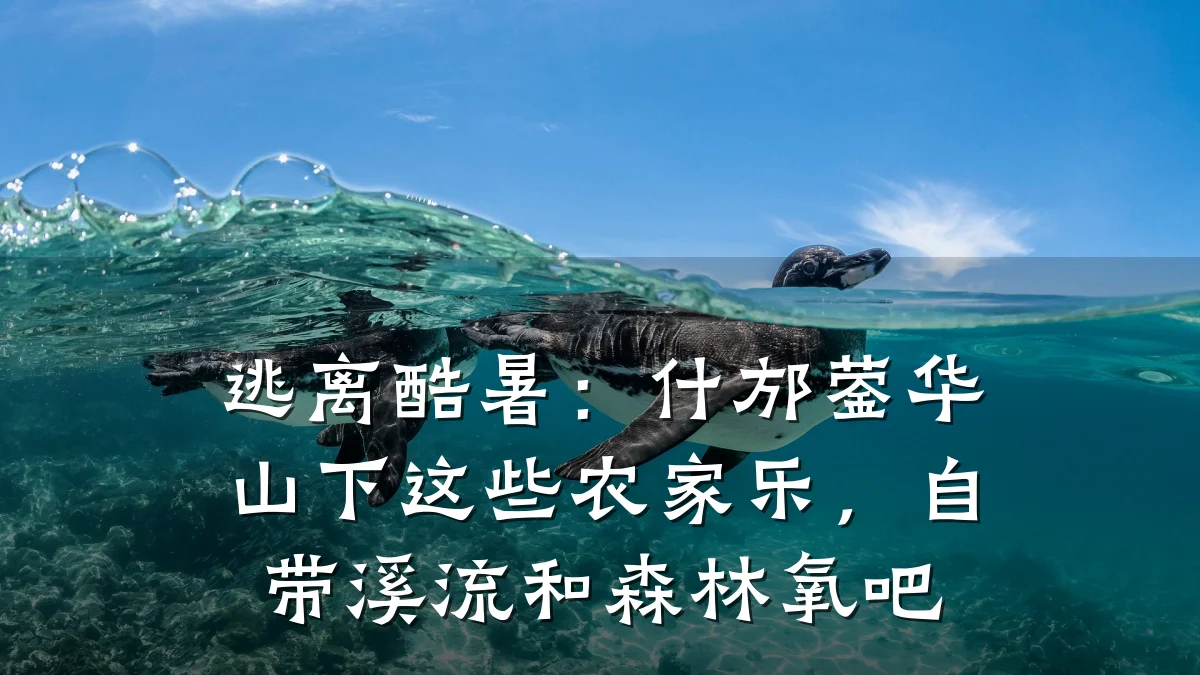逃离酷暑:什邡蓥华山下这些农家乐,自带溪流和森林氧吧